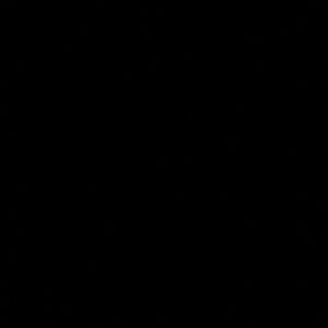 Meet your Posher, Marley